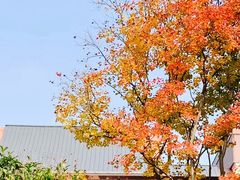 -水月周庄铂尔曼酒店-水月荟中餐厅