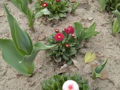 -杭州师范大学(下沙校区)