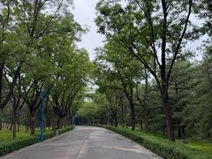 -森林公园(尖草坪区)