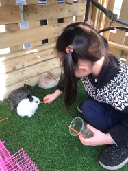 -萌宠亲子动物乐园(槐房万达店)