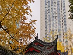 -古大圣慈寺
