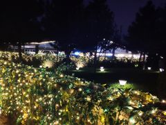 -莫子山公园