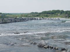 -绿堤公园