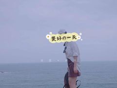 -广东惠东海龟国家级自然保护区