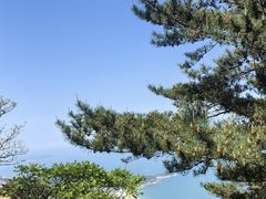 -崂山仰口游览区