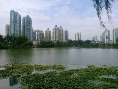 android_upload_pic-西北湖绿化广场