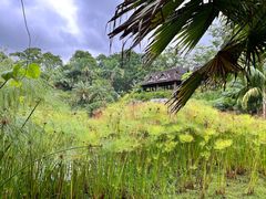 -中国科学院西双版纳热带植物园