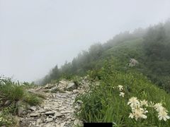 -北京鹫峰国家森林公园