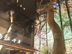 -桂满陇·海市蜃楼·黑金(国金店)