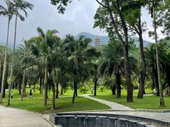 -深圳仙湖植物园