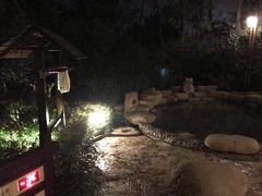 -天目湖涵田半山温泉