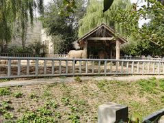 -石家庄市动物园