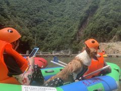 -安吉龙王山峡谷漂流
