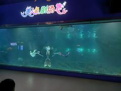 -福州罗源湾海洋世界旅游区