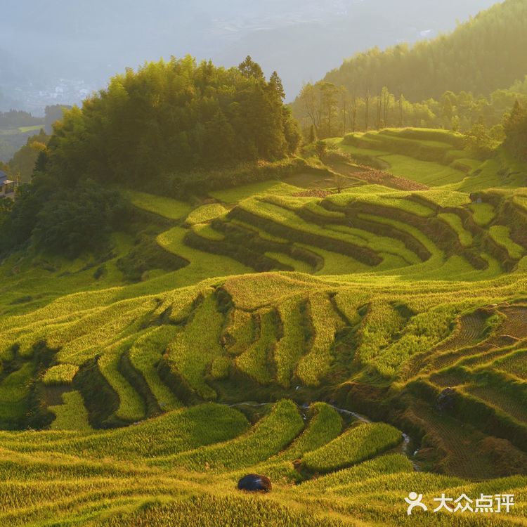 国庆假期云和梯田详细🔎攻略，附避开人流秘决🌄