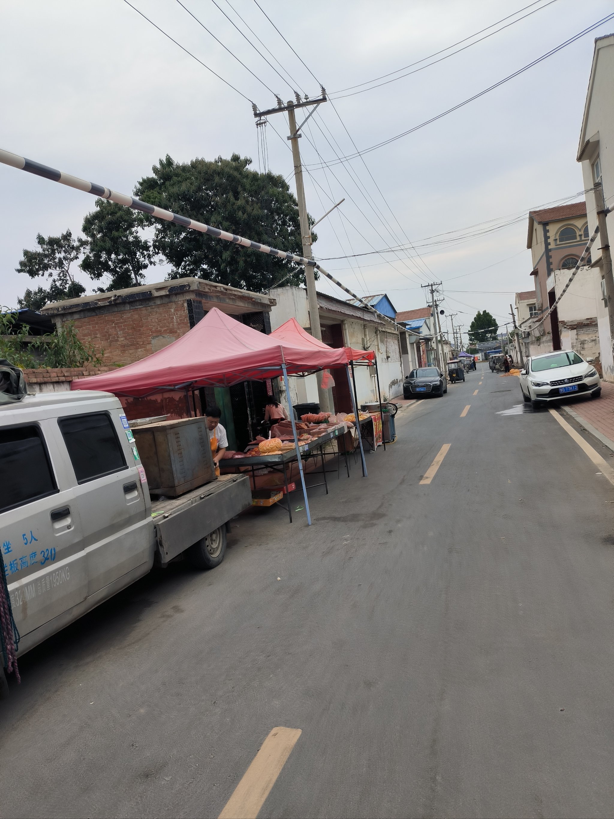 这是什么地方啊