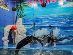 -左海海底世界