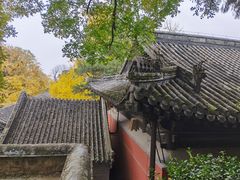 -大觉寺-停车场