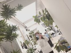 -Hair  Gallery