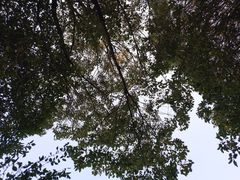 -艾溪湖湿地公园