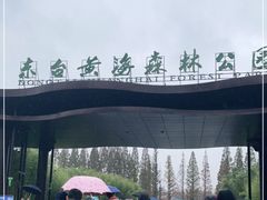 -黄海国家森林公园