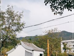 -南丹山森林王国