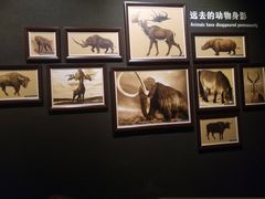-大庆市博物馆