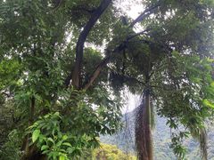 -飞霞风景名胜区