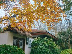 -思念果岭悦温泉