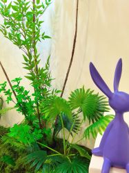 -FUMEIHUI·科技美肤·美体SPA