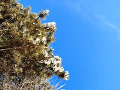 -棋盘山冰雪大世界