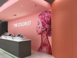 -THE COLORIST调色师