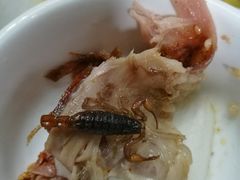 -老张烤羊(王哥庄店)