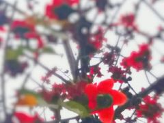 -东风公园