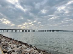 -宝安西湾红树林湿地公园