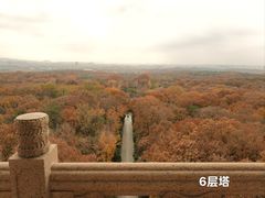 -灵谷景区