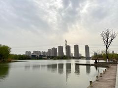 -九里河湿地公园