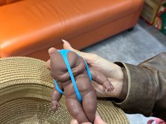 -魚當家