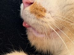 -平行世界·猫咖(首经贸店)
