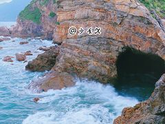 -杨梅坑