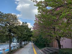 -台场海滨公园船码头