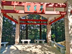 -火炉山森林公园