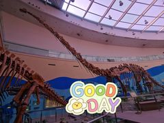 -陕西自然博物馆