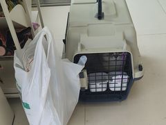 -虹泰宠物医院 ·旗舰店·24h(南秀路店)