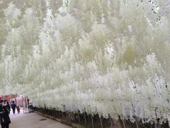 -渭南桃花源民俗文化园