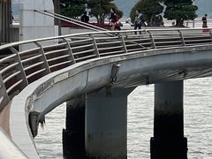 -演武大桥观景平台