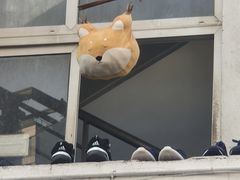 -石湖大酒店(桐泾店)