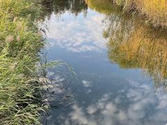 -苏州太湖湖滨国家湿地公园