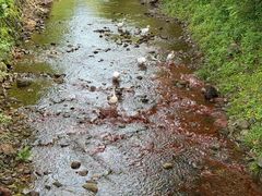 -溪口-滕头旅游景区