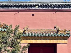 -北陵公园